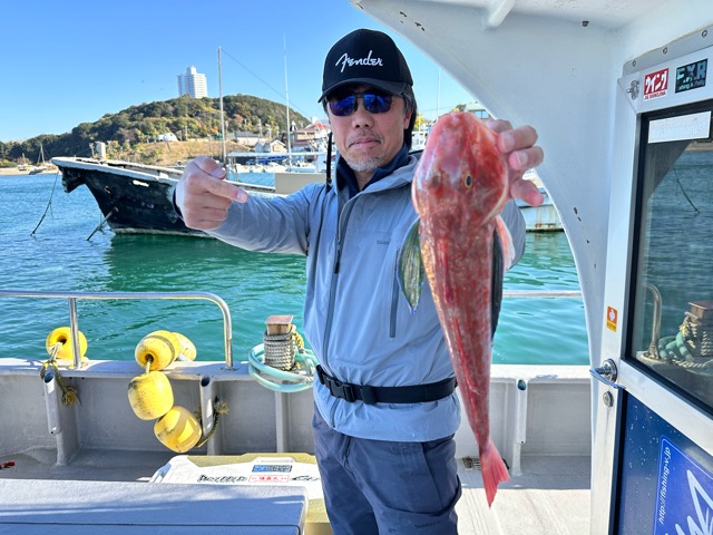 11月30日　いいトコなし