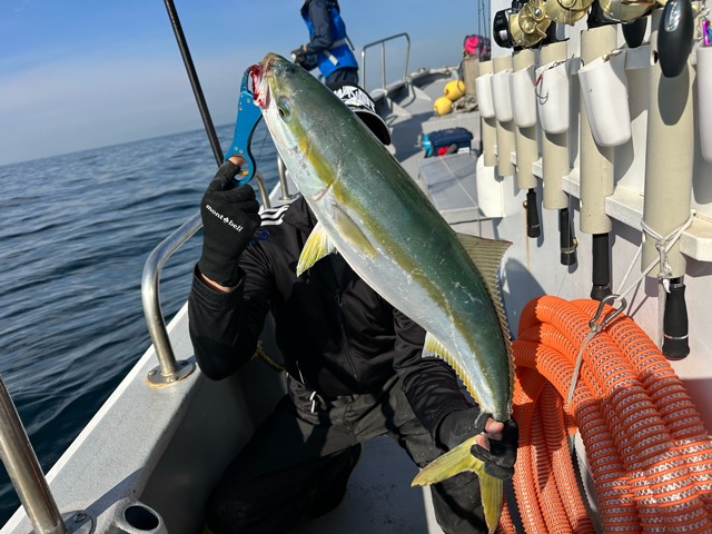 12月11日 青物ボーズなし!!
