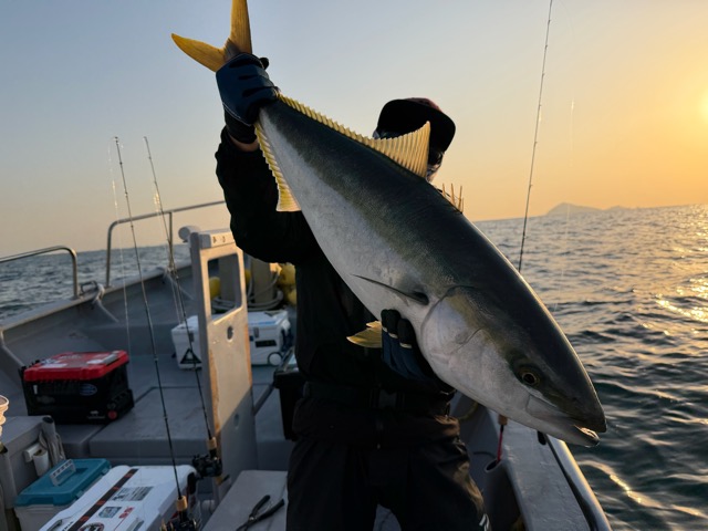 1月15日　今日も青物～