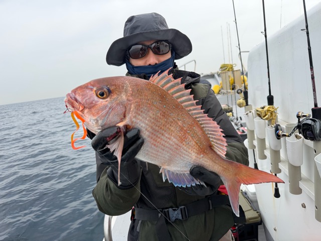 2月24日　マダイとアオハタも～