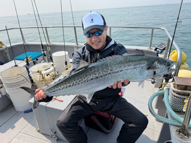 3月29日　サワラ～